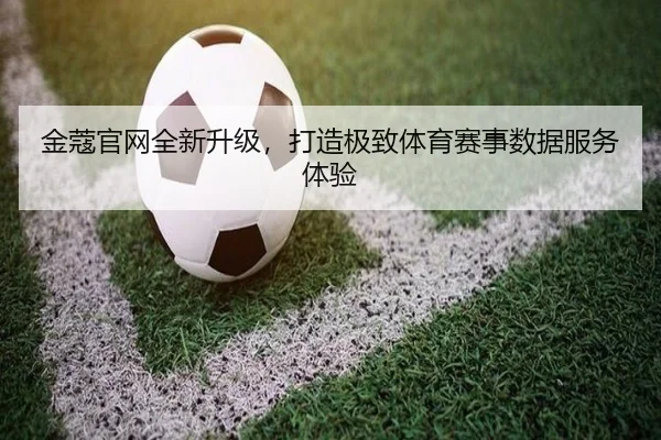 金蔻官网全新升级，打造极致体育赛事数据服务体验
